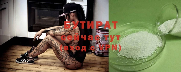дживик Тында