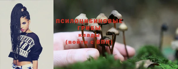 твердый Богородск