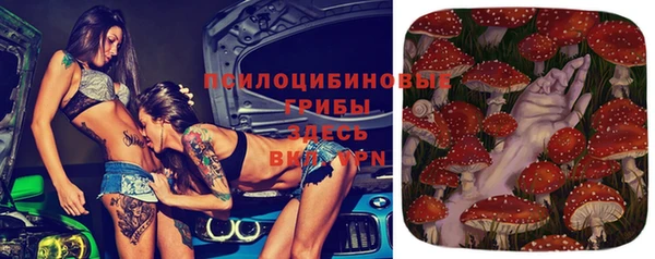скорость Бронницы