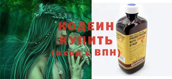 дживик Тында